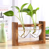 Load image into Gallery viewer, Plant Desktop Vase