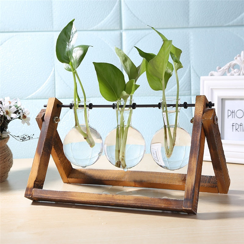 Plant Desktop Vase