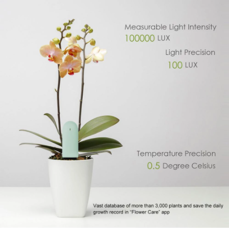 Indoor Plant Sensor