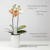 Load image into Gallery viewer, Indoor Plant Sensor